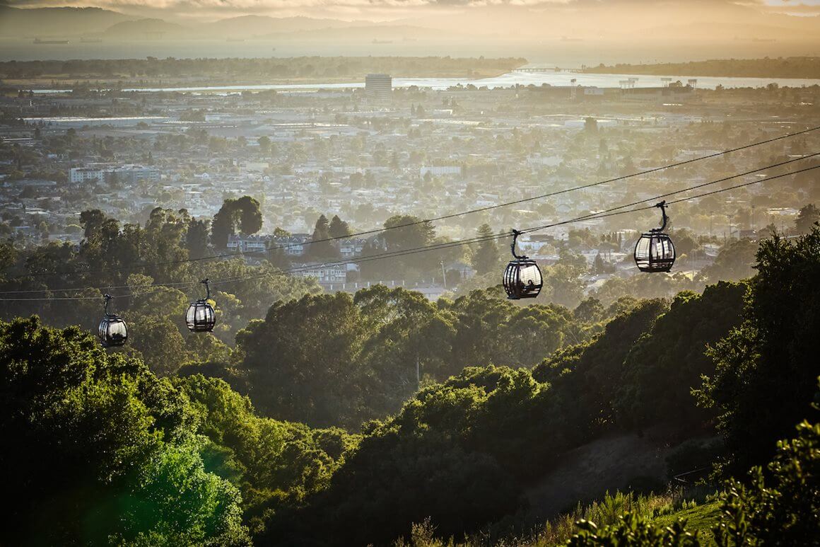We’re wild about the Oakland Zoo
